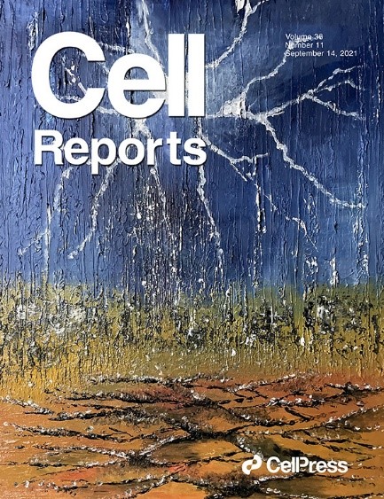 About the cover: Mossy cells are named for the characteristic moss-like spines found in patches on their proximal dendrites. The cover depicts a mossy cell as a lightning bolt in the night sky. In this issue, Wang et al. define a circuit-based role of how mossy cells regulate dentate granule cell and CA1 pyramidal cell spiking in mice exploring anxiogenic contexts. Image by Yu-Ling Tsai and Yu-Huan Tsai.